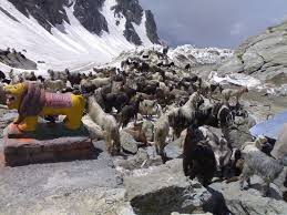 Sach Pass - Dalhousie Image