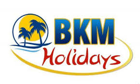 BKM Holidays - Delhi Image