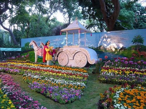 Botanical Garden - Pondicherry Image