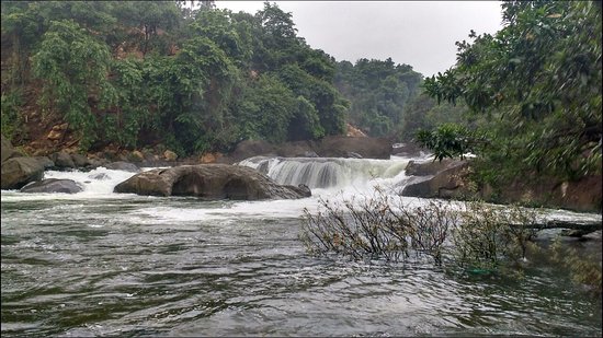 Arippara Waterfalls - Kozhikode Image