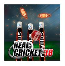 Real Cricket™ 18 Image