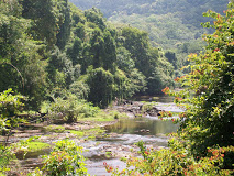 Adavi ECO Tourism Image