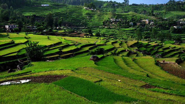 Kausani Image