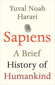 Sapiens: A Brief History of Humankind Image