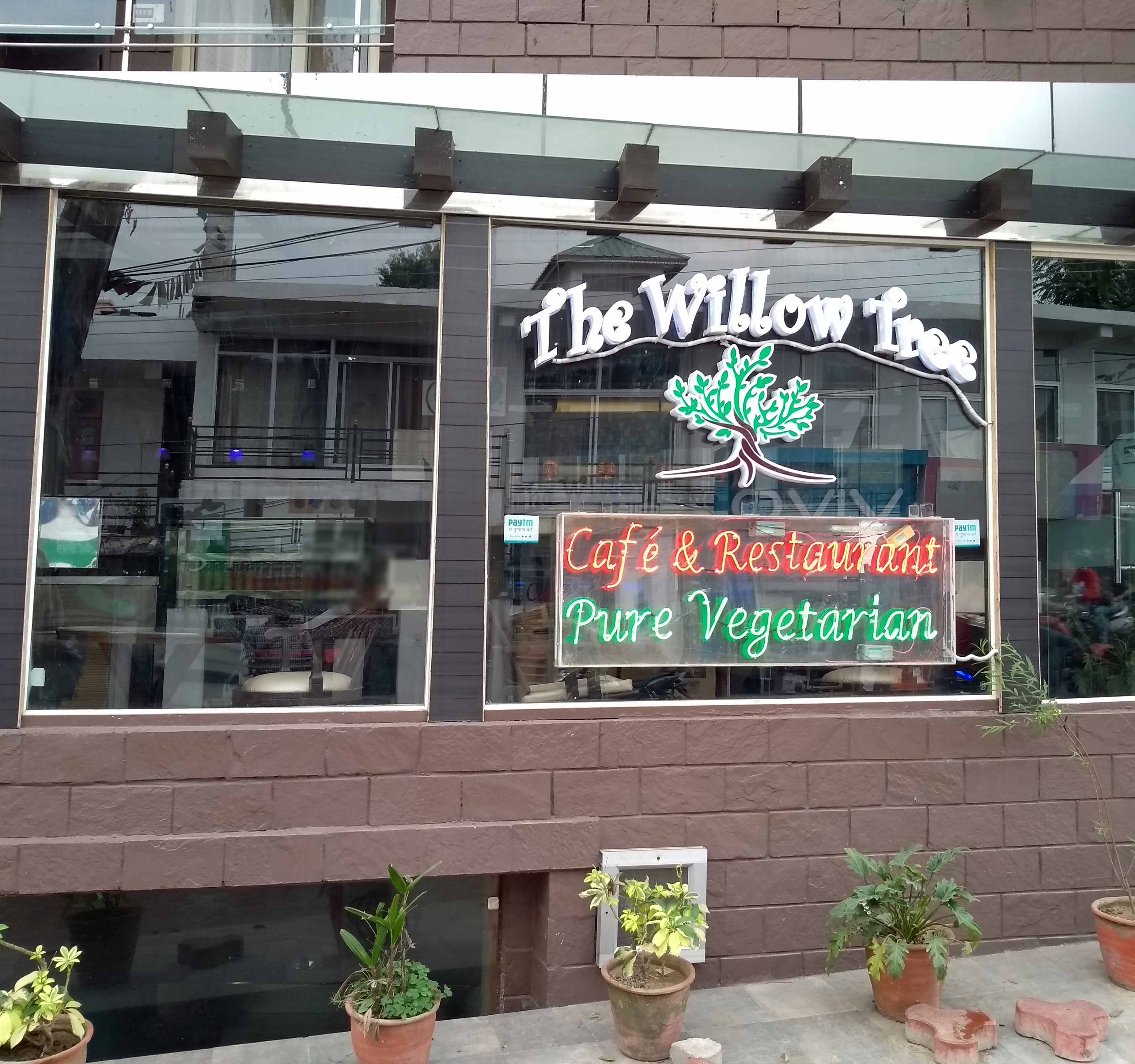 The Willow Tree - Chilgari - Dharamshala Image