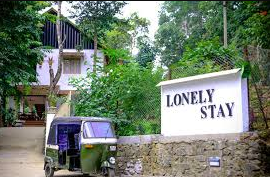 Lonely Stay - Thekkady Image