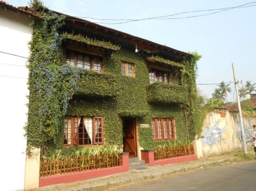 Raintree Lodge - Kochi Image