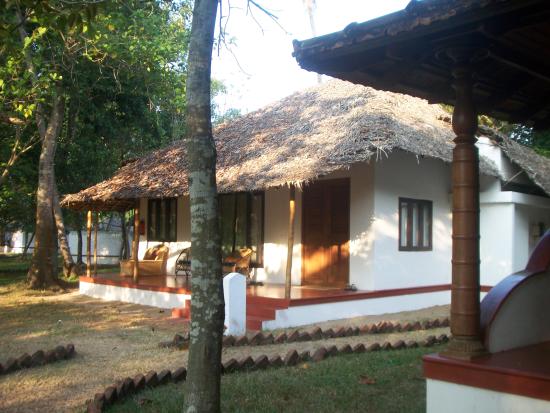 The Beach at Pollethai - Alappuzha Image