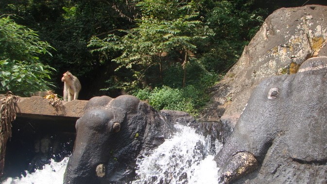 Kalhatti Falls - Chikmagalur Image