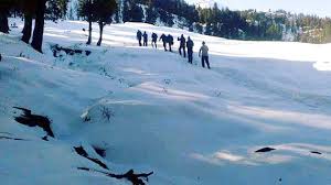 Baggi Tilgan - Manali Image