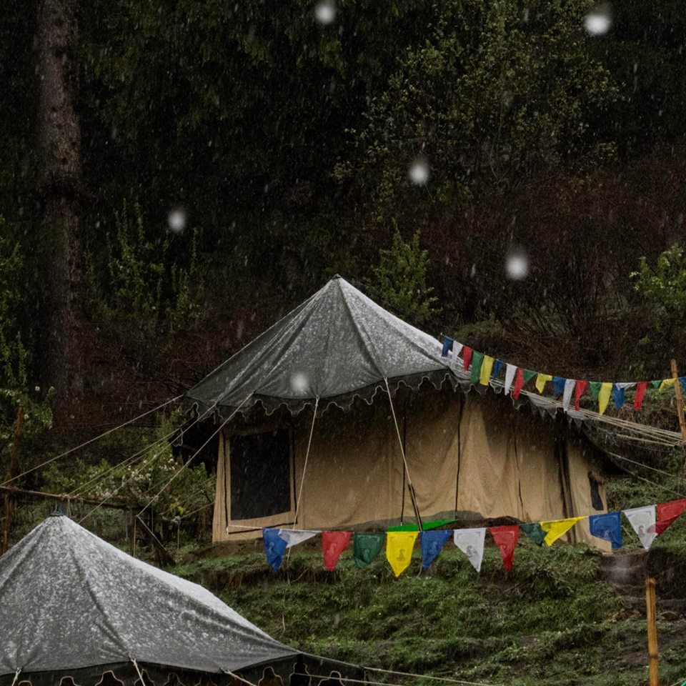 Camp Deodar - Manali Image