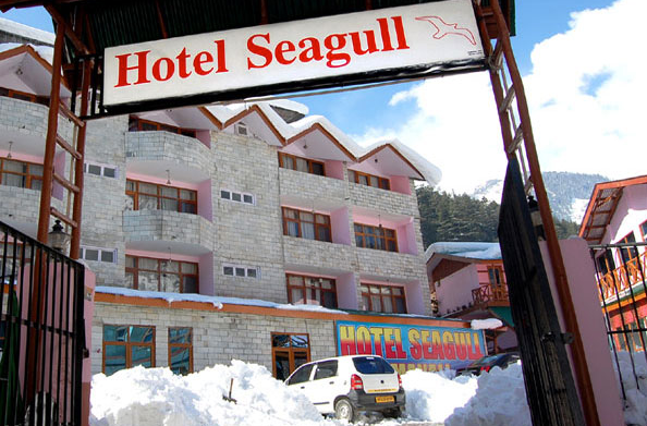 Seagull Hotel - Manali Image