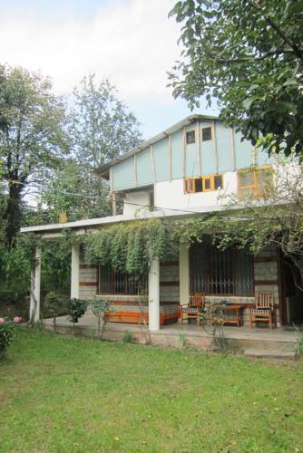 The Dog on the Hill - Manali Image