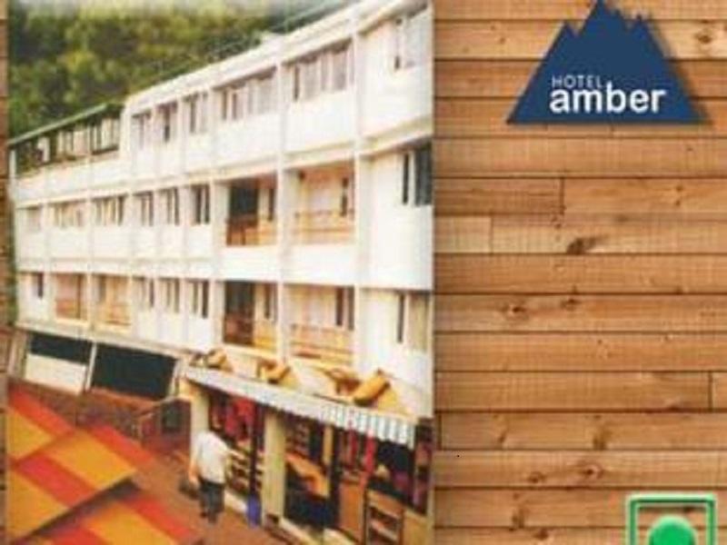 Hotel Amber - Shimla Image