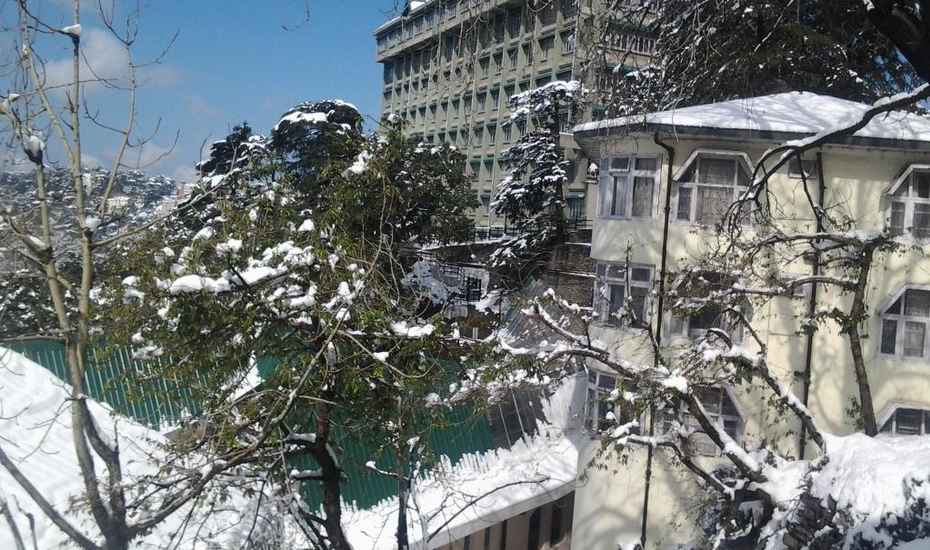 New Sansar - Shimla Image