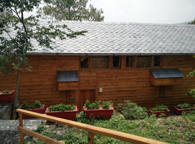 Suro Treehouse Resort - Shimla Image