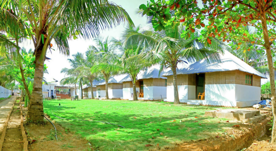 Coco Resort Morjim - Goa Image