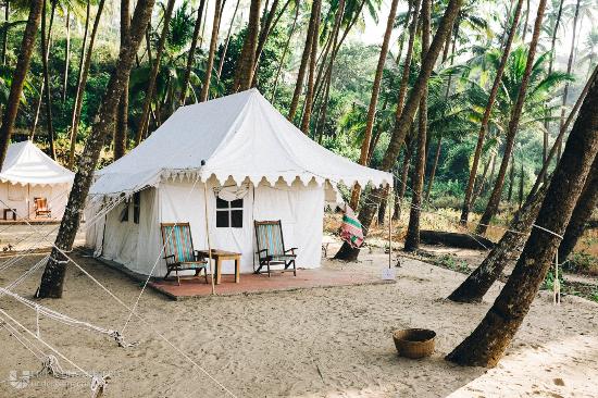 Cola Beach Exclusive Tented Resort - Goa Image