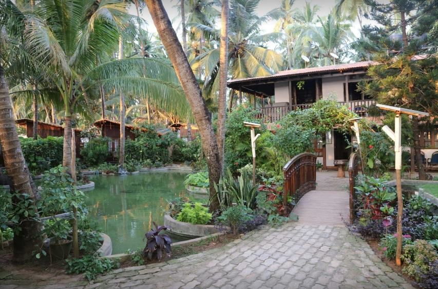 Ciaran's - Goa Image