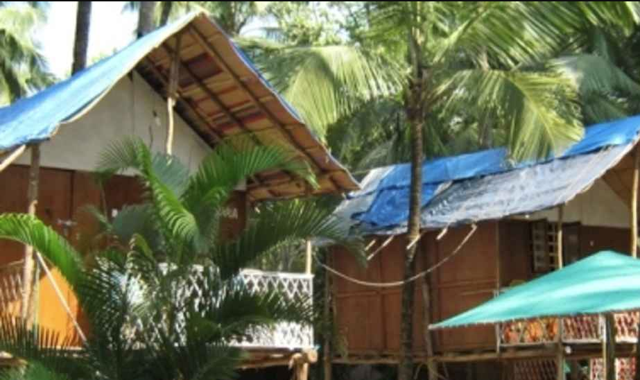 Lacto Cressida Huts - Goa Image