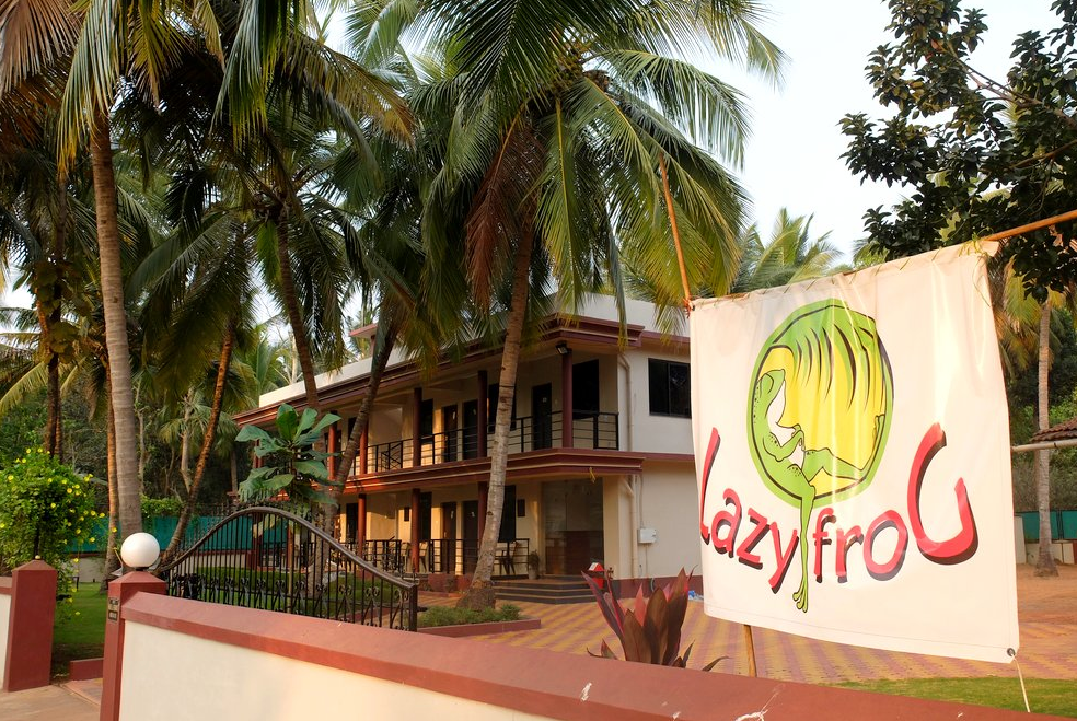 Lazy Frog - Goa Image