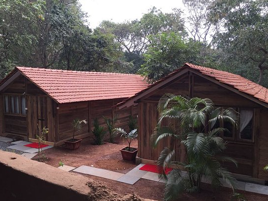 Namaste Jungle - Boutique Homestay - Goa Image