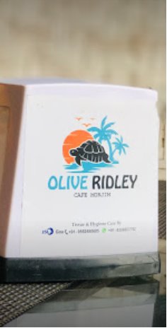 Olive Ridley - Goa Image