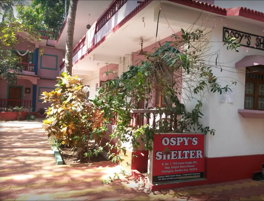 Ospy's Shelter - Goa Image