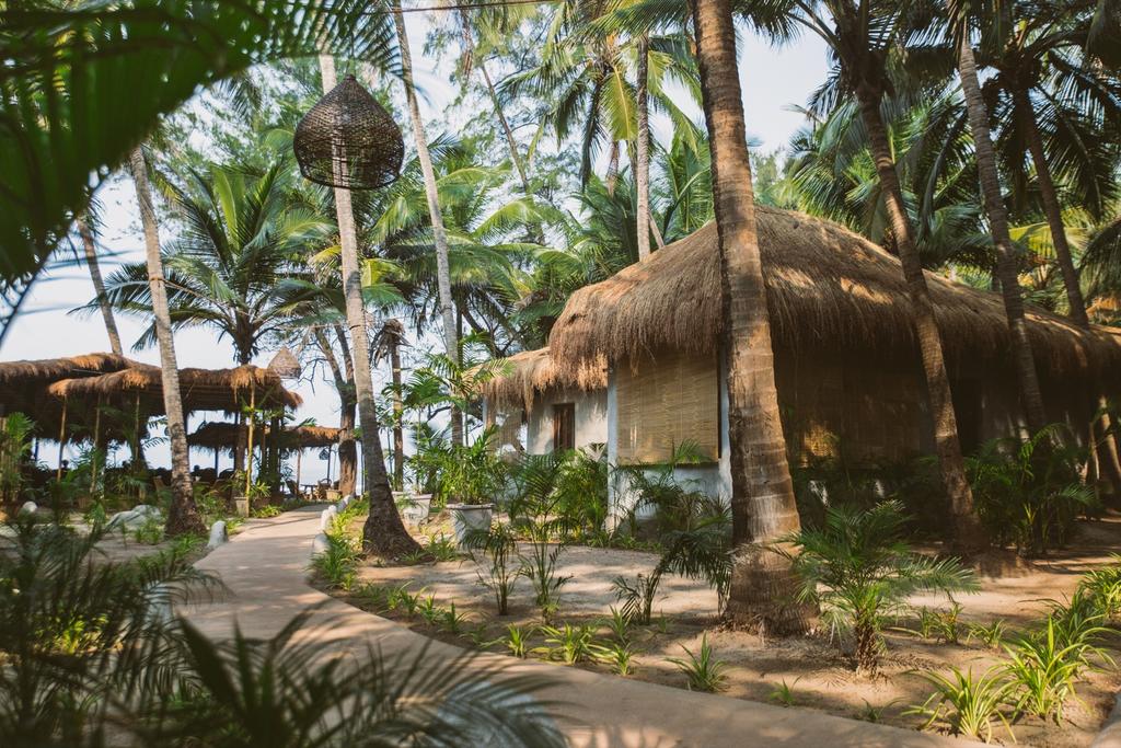 Palm Grove - Goa Image