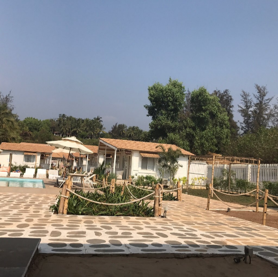 The White - Goa Image