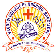 Vagdevi School and College of Nursing - Bangalore Image