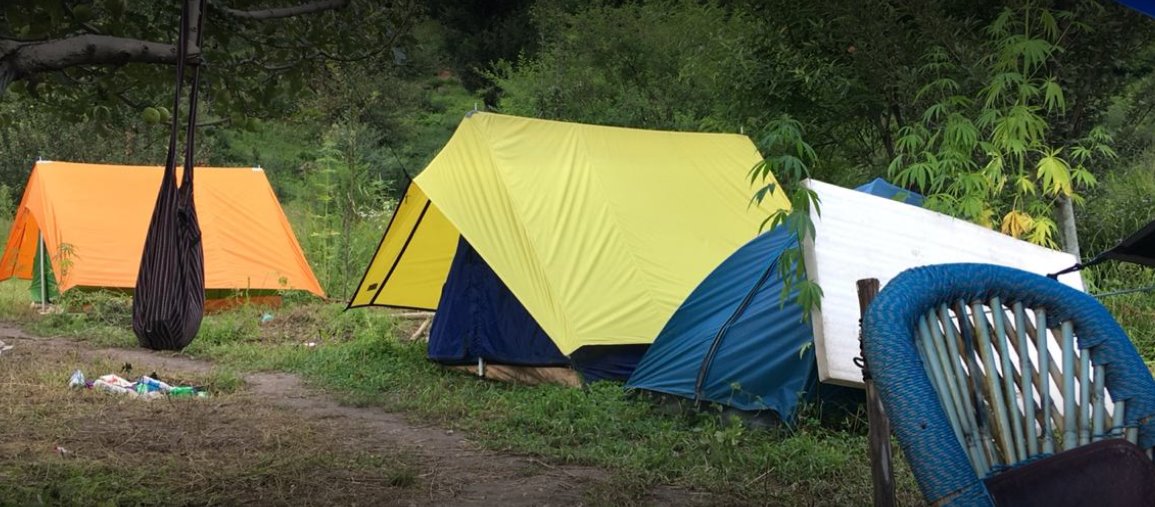 Enter the wild campsite - Kullu Image