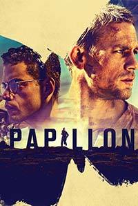 Papillon Image