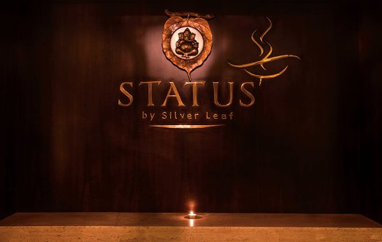 Status By Silver Leaf - Ana Sagar Lake - Ajmer Image