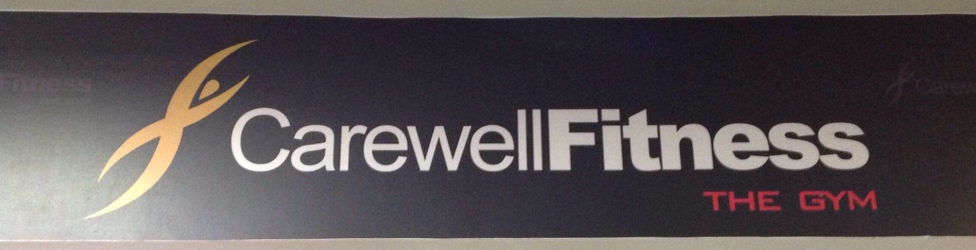 Carewell Fitness The Gym - Powai - Mumbai Image