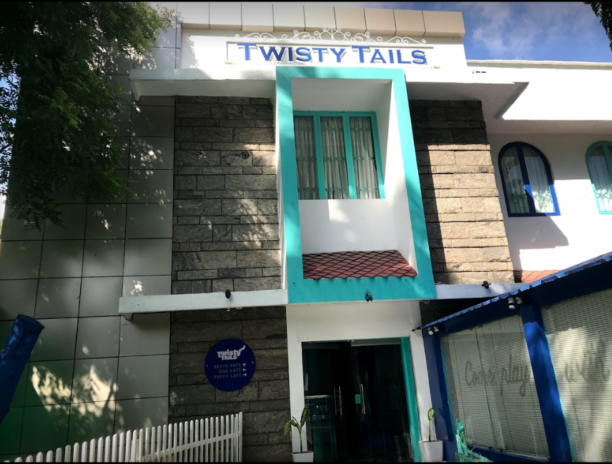 Twisty Tails - Nungambakkam - Chennai Image