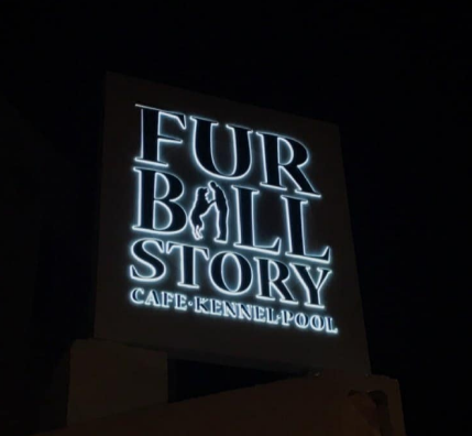 Fur Ball Story - Golf Course Road - Gurgaon Image