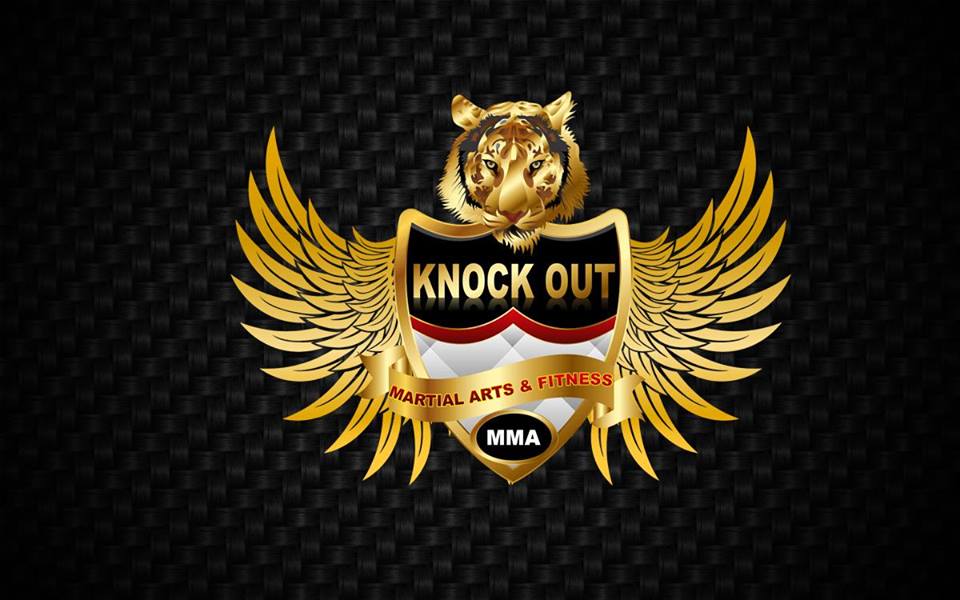 Knockout Martial Arts - Laxmi Nagar - New Delhi Image