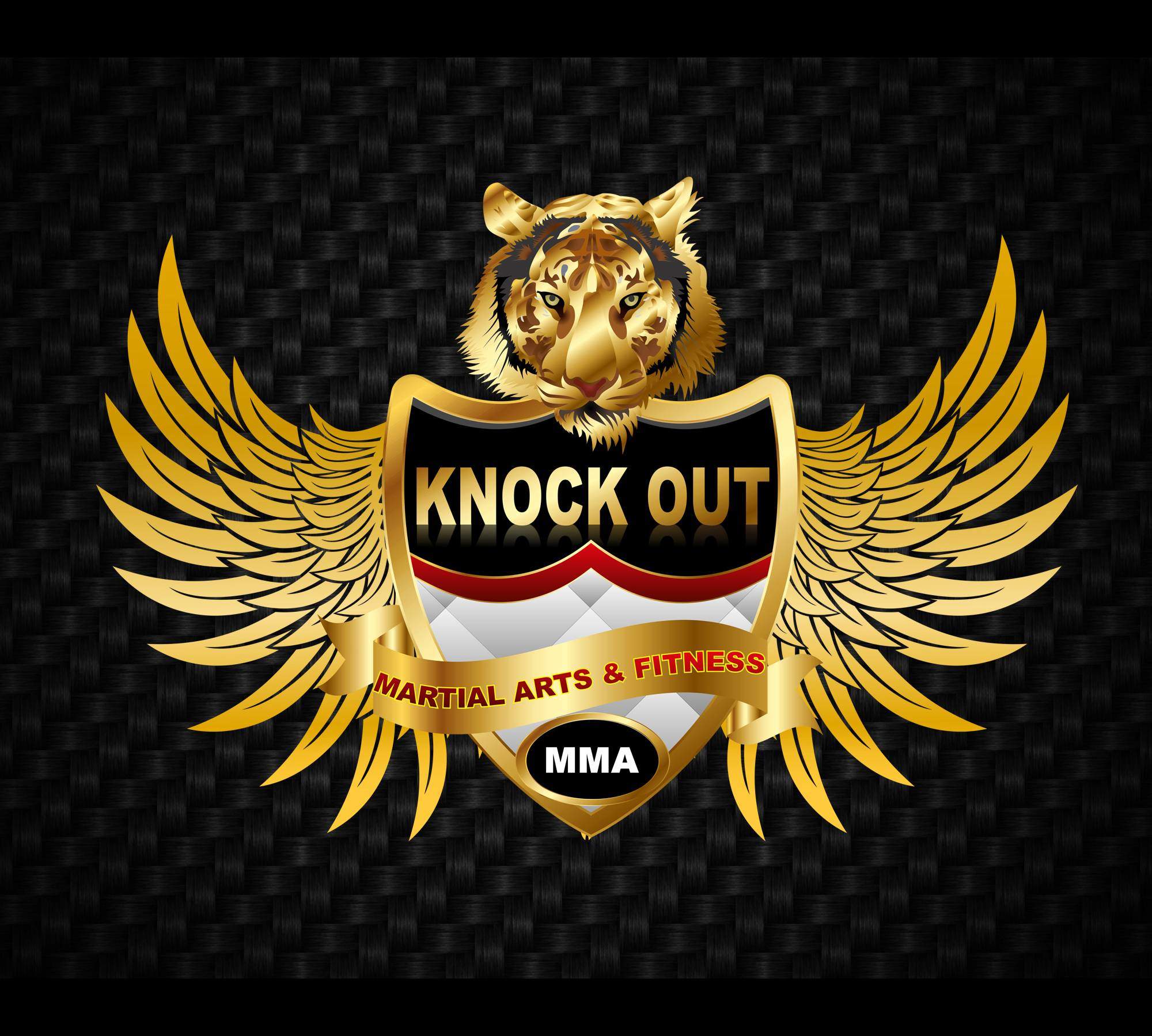 Knockout Martial Arts And Fitness - Lajpat Nagar - New Delhi Image