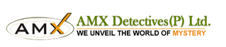 Amx Detectives (P) Ltd. Image