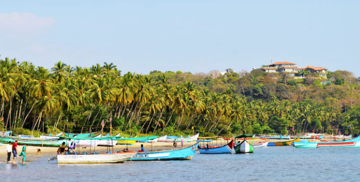 Coco Beach - Goa Image