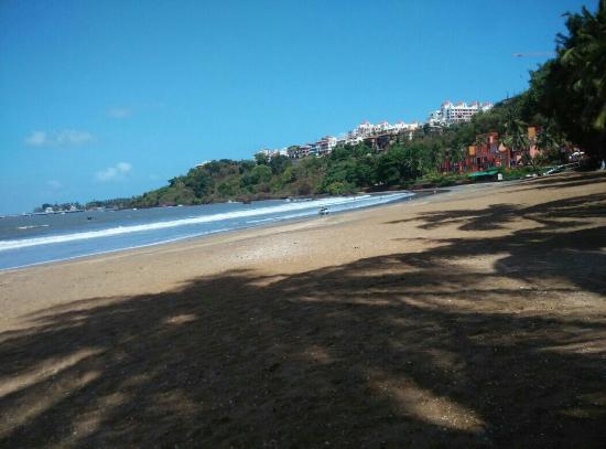 Vainguinim Beach - Goa Image