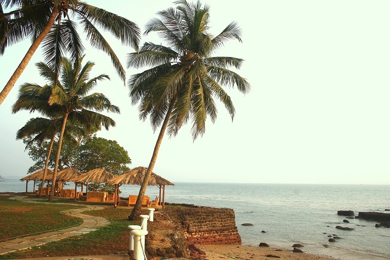 Odxel Beach - Goa Image