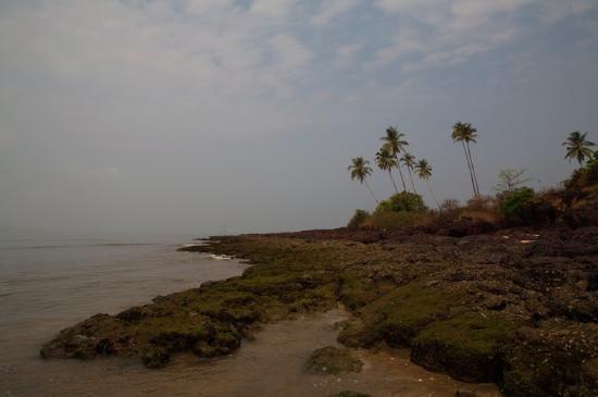 Siridao Beach - Goa Image