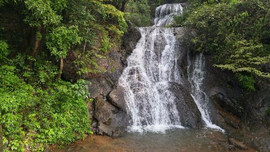 Bamanbudo Waterfalls - Goa Image