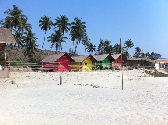 Mandrem Beach - Goa Image