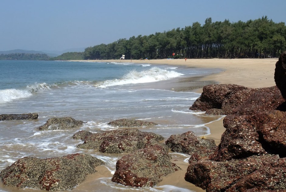 Galgibaga Beach - Goa Image