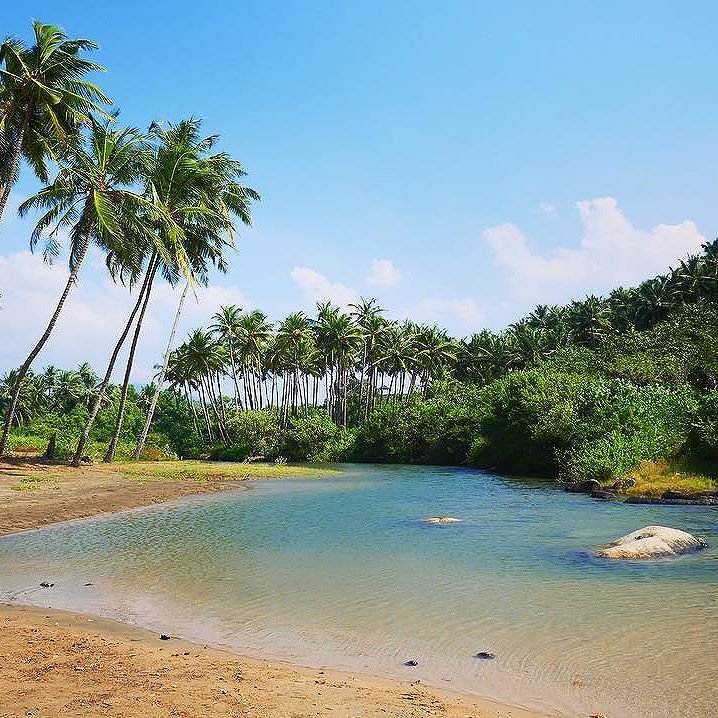 Cavelossim Beach - Goa Image