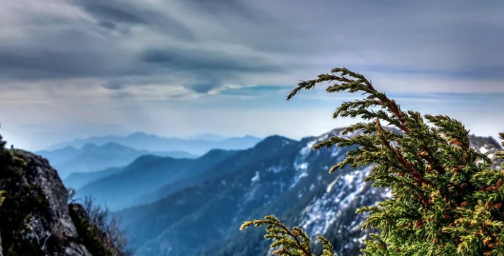 Churdhar Peak - Sirmour Image