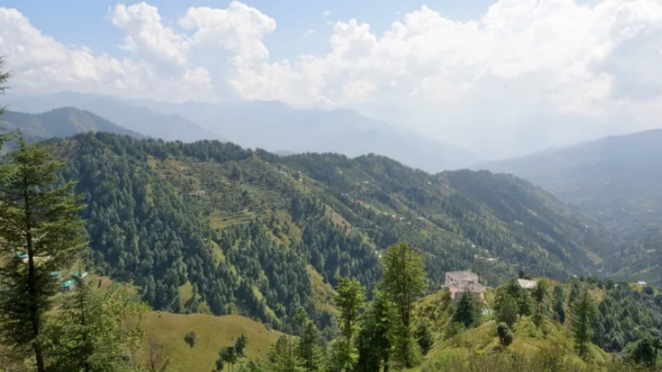 Stokes Farm - Shimla Image